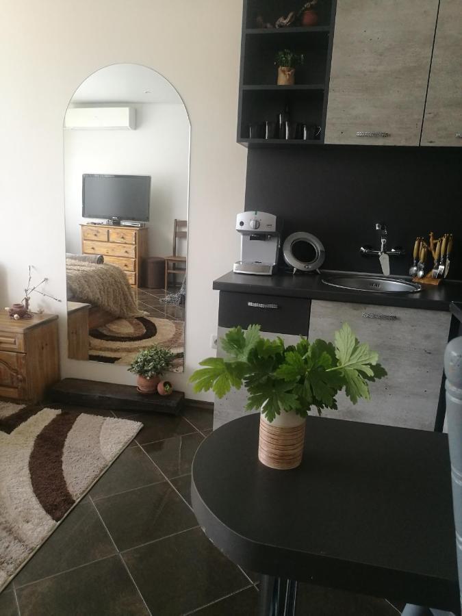 Studio Anastasia Saparewa Banja Zewnętrze zdjęcie